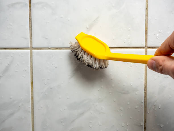 Best Insurance-Related Mold Remediation in Port Townsend, WA